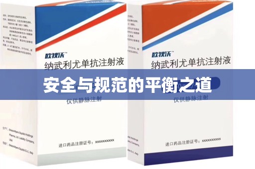苏州安全与规范的平衡之道