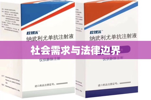 苏州社会需求与法律边界