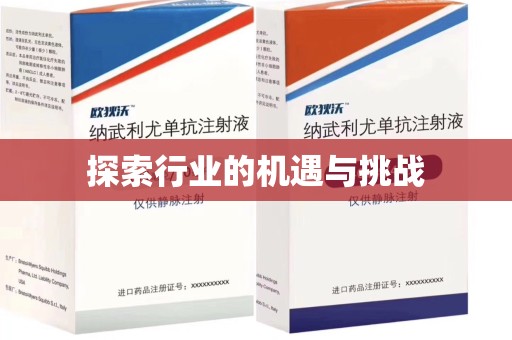 苏州探索行业的机遇与挑战